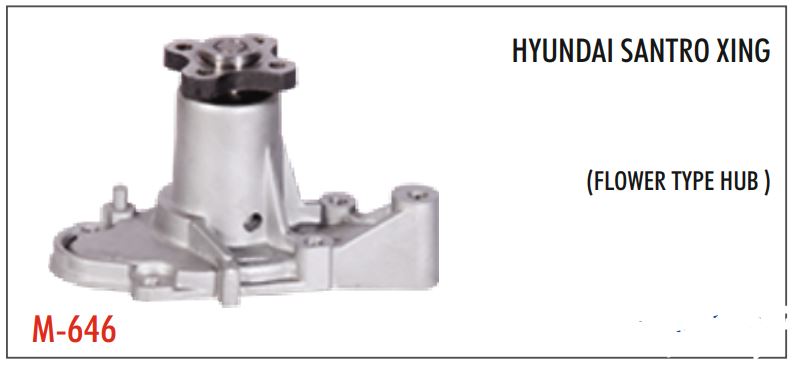 W. BODY HYUNDAI SANTRO XING 646 (G)